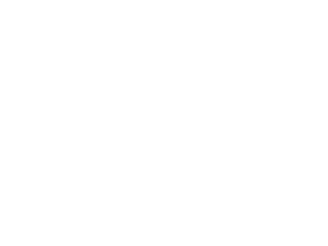 Virrey Solis1
